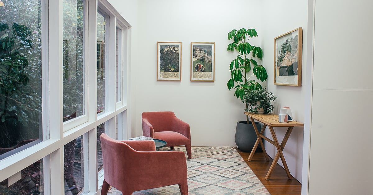 A large place to plant some berries - Interior of light hall with windows and armchairs on carpet near table and potted plant with pictures placed on white wall