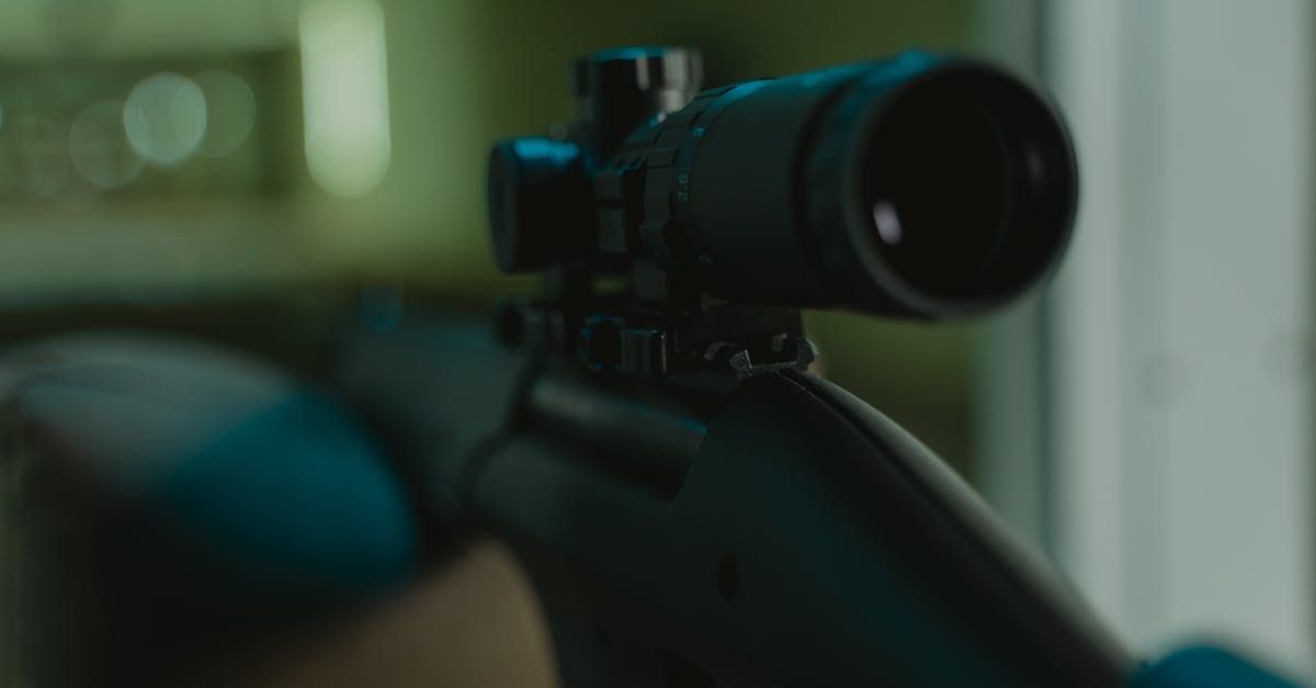 Any way to see weapon stats? - Black Rifle With Scope in Tilt Shift Lens