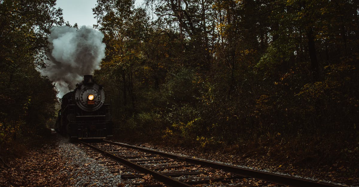 AppleArcade The Oregon Trail: What does wagon grease do? - Train locomotive riding on rural railway track amidst verdant green forest trees in countryside