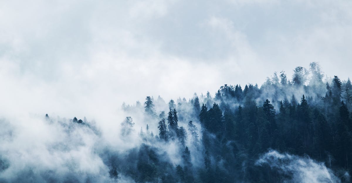 Are high mountains possible with random map generation? - Green Pine Trees Covered With Fogs Under White Sky during Daytime