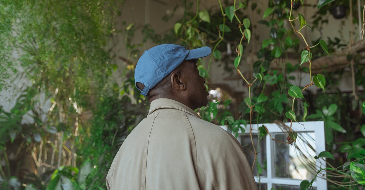 Are levels after 40 cap but before beating Keener lost? - Photo of Man Roaming Around Greenhouse