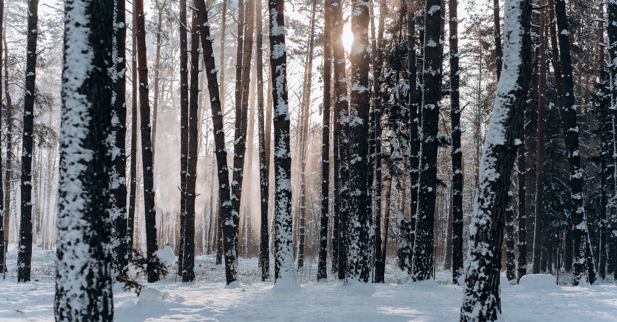Are there any Minecraft command generators that can make a Sword of the Sun with the same enchantments? - Woods Covered With Snow Are there any Minecraft command generators that can make a Sword of the Sun with the same enchantments? - Woods Covered With Snow