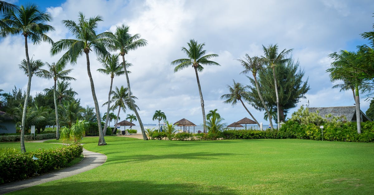 Are villages worth it in a rebellion? - Green Palm Trees on Green Grass Field Under Blue Sky