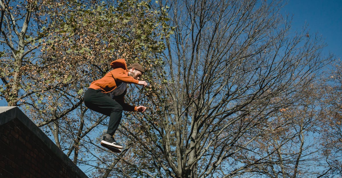 Autumn season challenge - From below full length determined male tracer in orange hoodie and hat jumping from brick wall against trees and blue park in autumn park