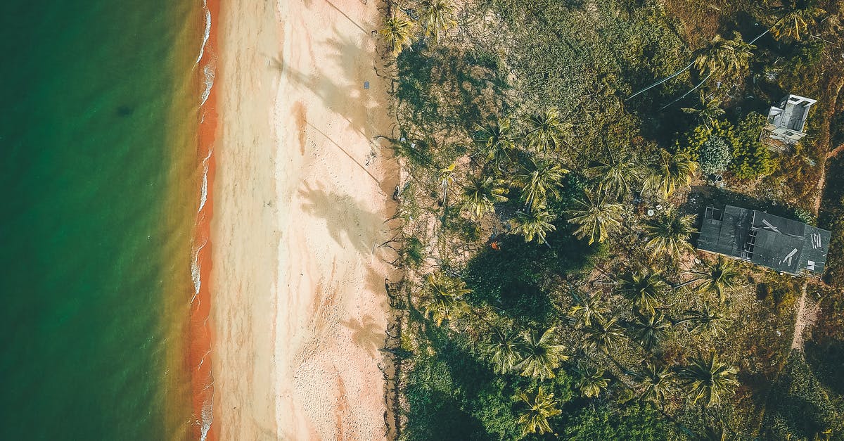 Berzerk Mondegreens or: What did he say? - Drone view of light beige sandy beach of vibrant green wavy ocean next to cottage surrounded by grass and palms