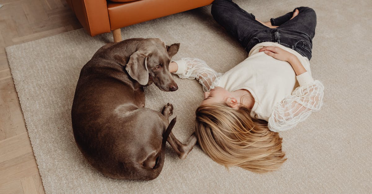 Borderlands handsome collection loyalty rewards - Woman in White Shirt Lying on Floor Beside Brown Short Coated Dog