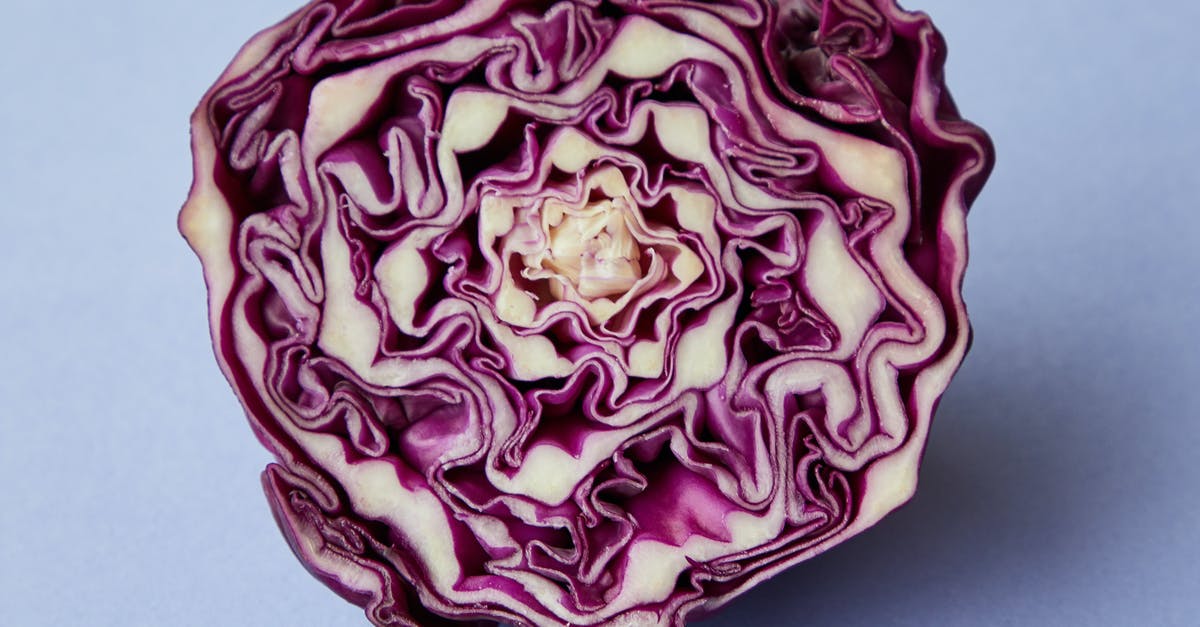 Cabbage Pult Missing from Almanac and My Plants in PVZ2 - From above of half of purple raw fresh juicy cabbage on blue background