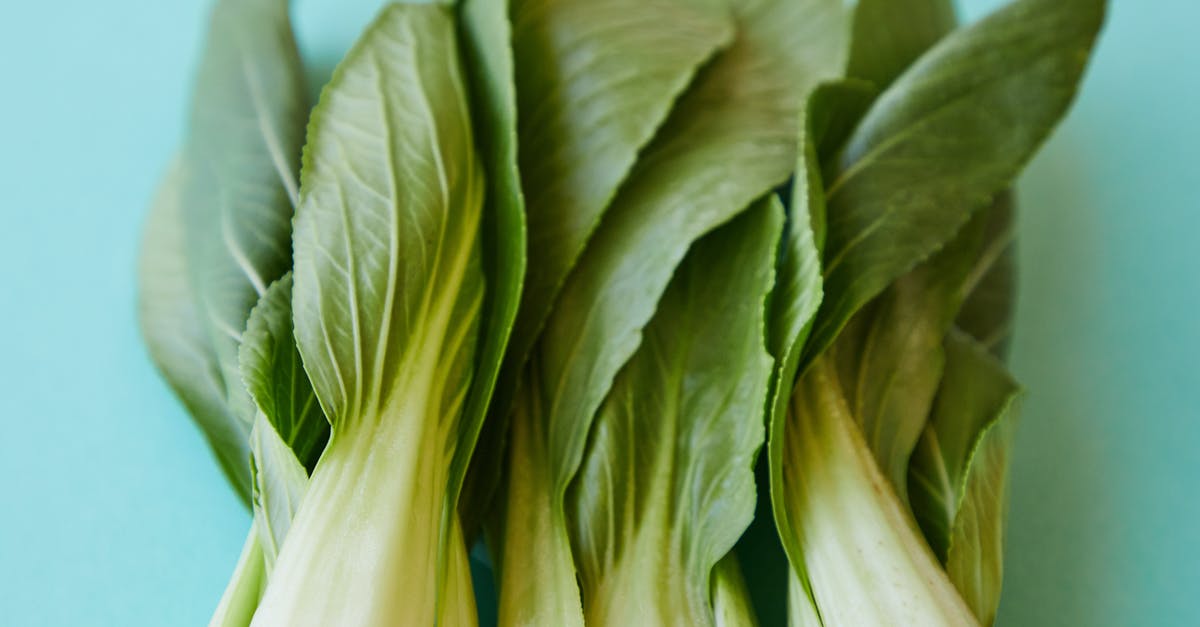 Cabbage Pult Missing from Almanac and My Plants in PVZ2 - From above of verdant ripe leaves of pok choi placed on blue background