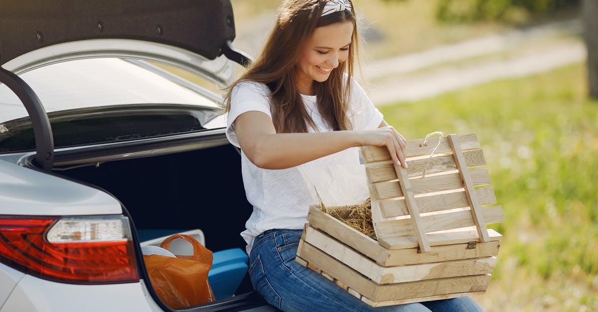 can't collect a weapon in fallout shelter - Smiling young woman with wooden box near automobile during car travel in nature