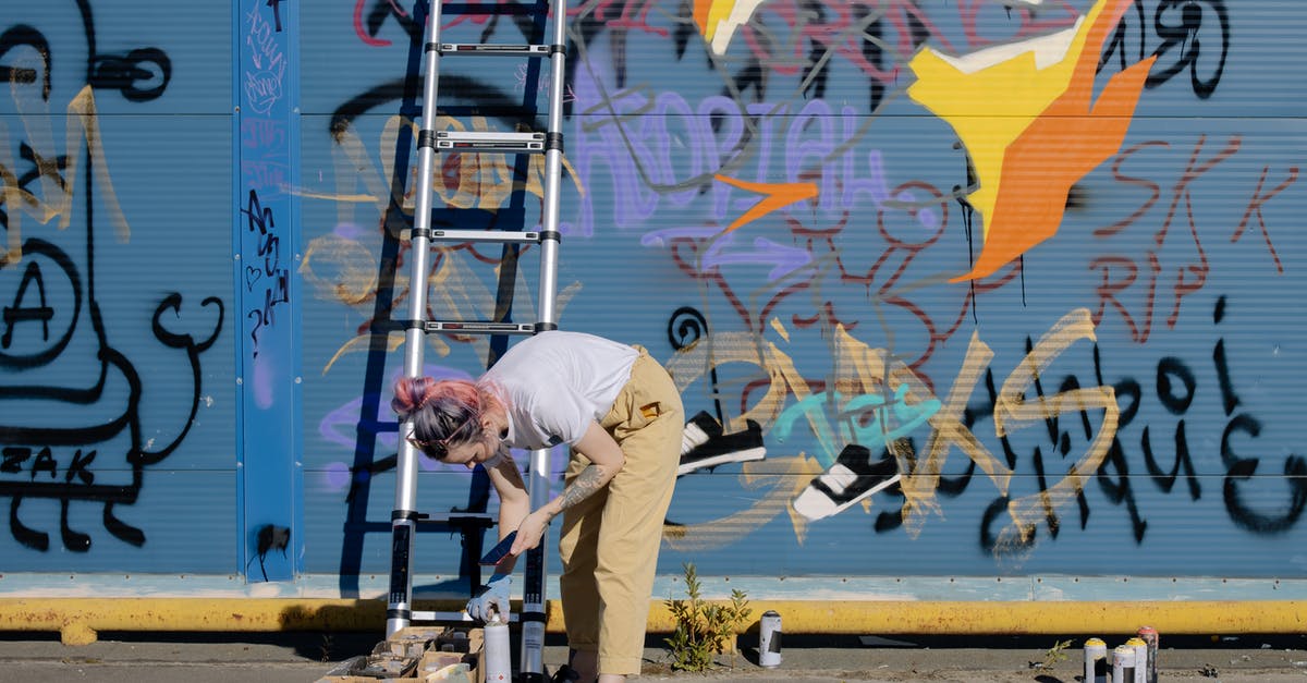 Can a roaming pokemon appear in the Battle Zone? - Side view full body of young female artist in stylish clothes with cardboard boxes standing near graffiti wall on city street