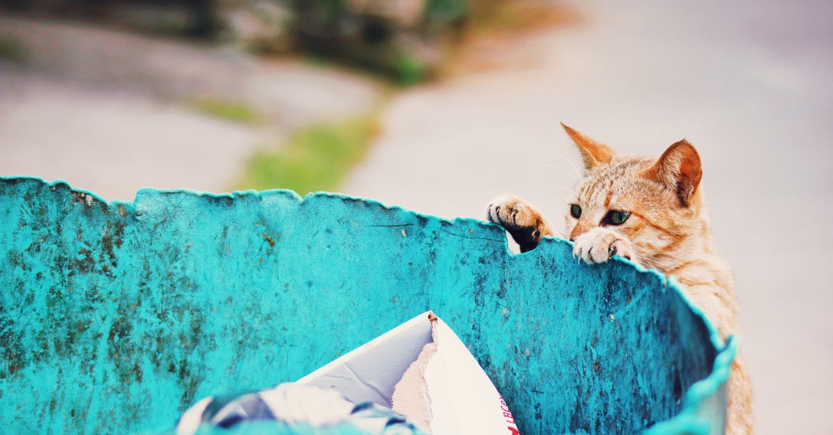 Can Fury Bowser be defeated with only Cat Shines? - Homeless cat near trash can with garbage