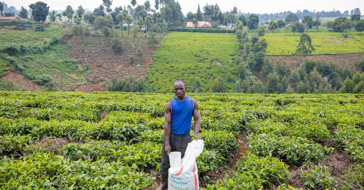 Can I place fertilizer on planted seeds? - Man in Blue Shirt and Gray Pants Carrying White Plastic Bag on Green Grass Field during