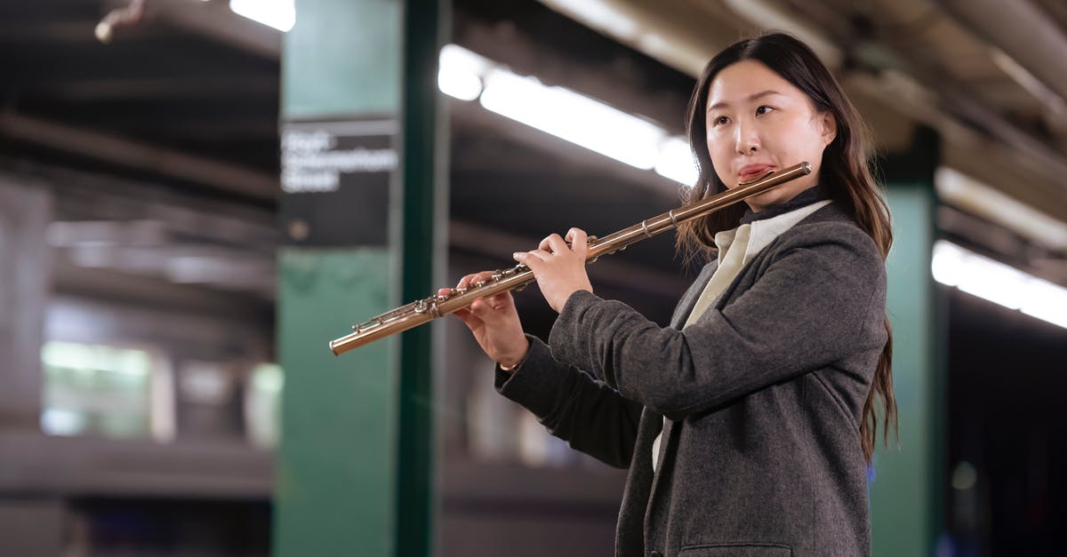 Can I play Metro Exodus without knowing the existing storyline? - Ethnic woman playing flute on underground station