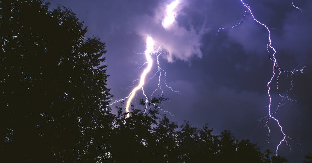 Can lightning rods prevent trees from being hit by lightning? - Lightning Strike on Forest during Night Time