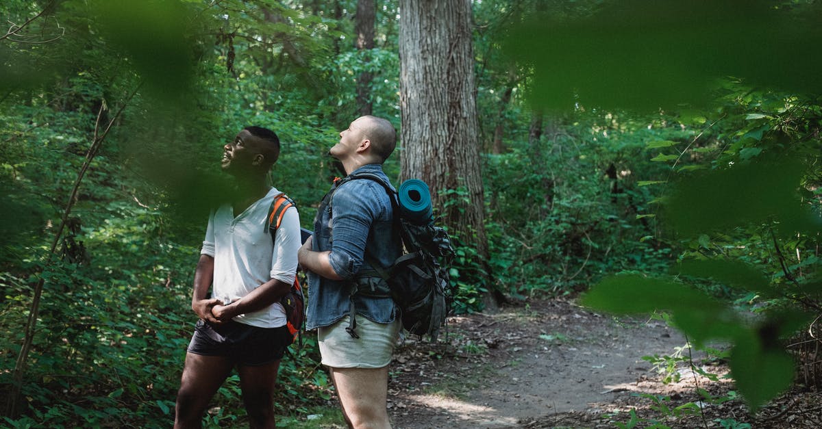 Can you pick up Pete's Watch in Walking Dead - Season 2 - Diverse people with backpacks admiring peaceful trees with green leaves while standing on path in soft focus