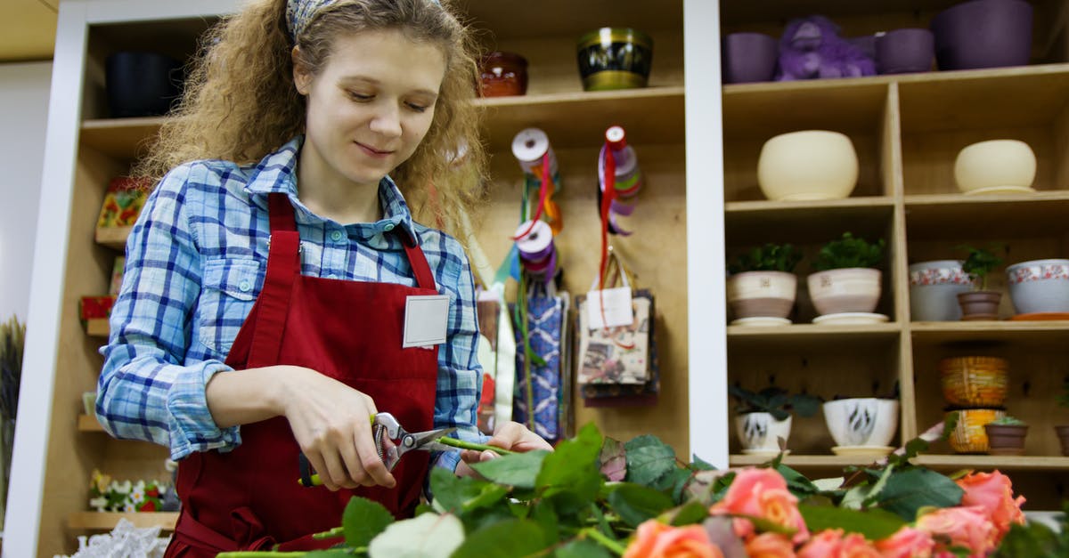 Cannot beat Namir due to dodgy AI in Director's Cut - From below of positive female florist in apron and hairband using scissors for cutting low parts of rose branches placed on table in workspace against shelves with flower pots and decorations for presents