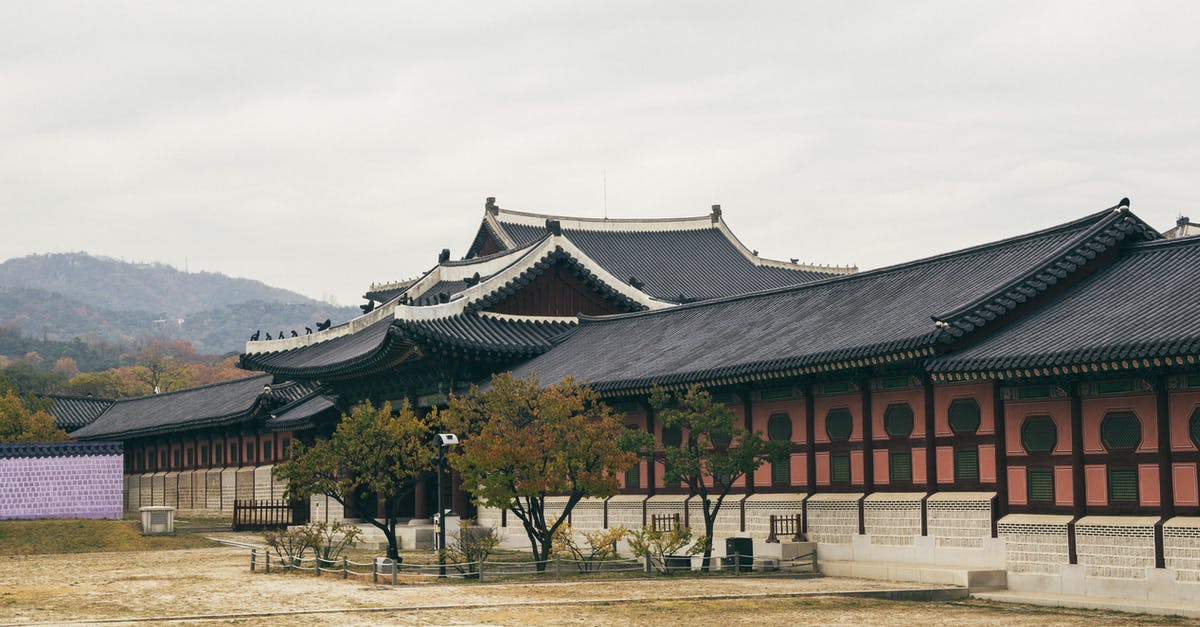 Cannot get last remaining Dynasty member - Gyeongbokgung Palace, South Korea