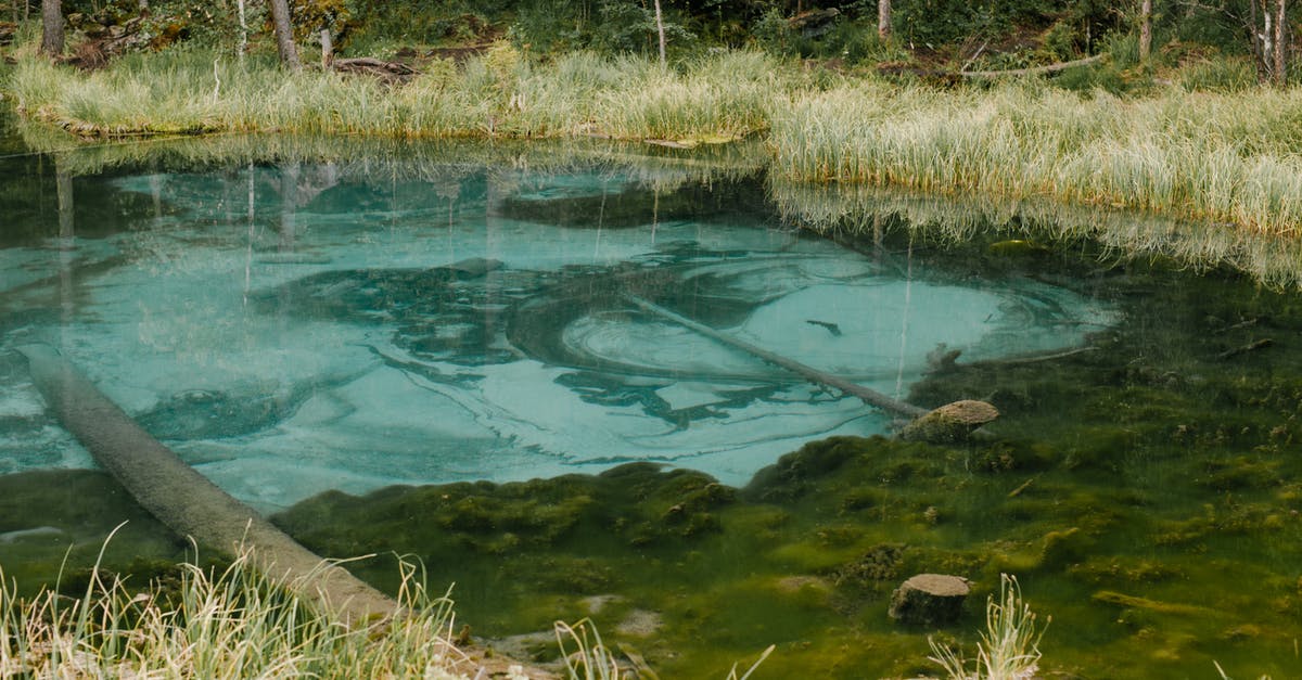 Clearing a location in fallout 4 - Small calm filled geyser pond with blue water in middle of green forest