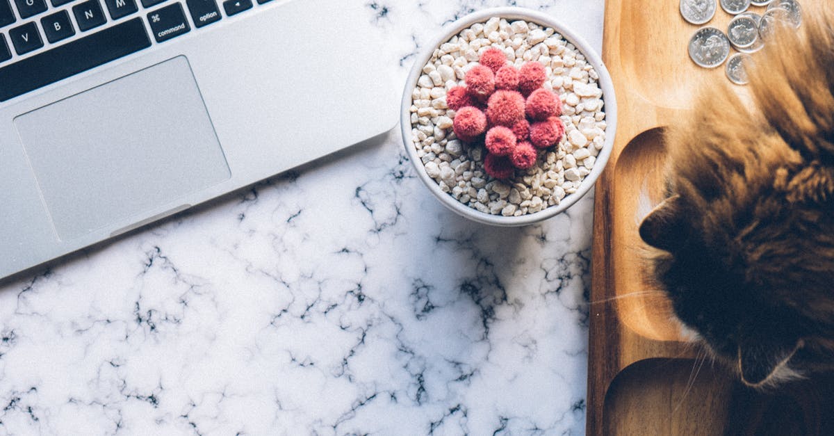 Coins displaying as popsicles? - Laptop on Marble Countertop