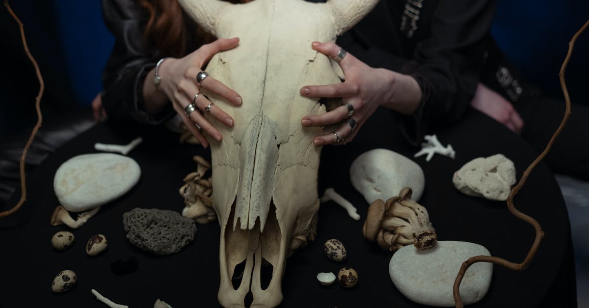 Combination artifacts assembled in campaigns - Person Holding White Animal Skull