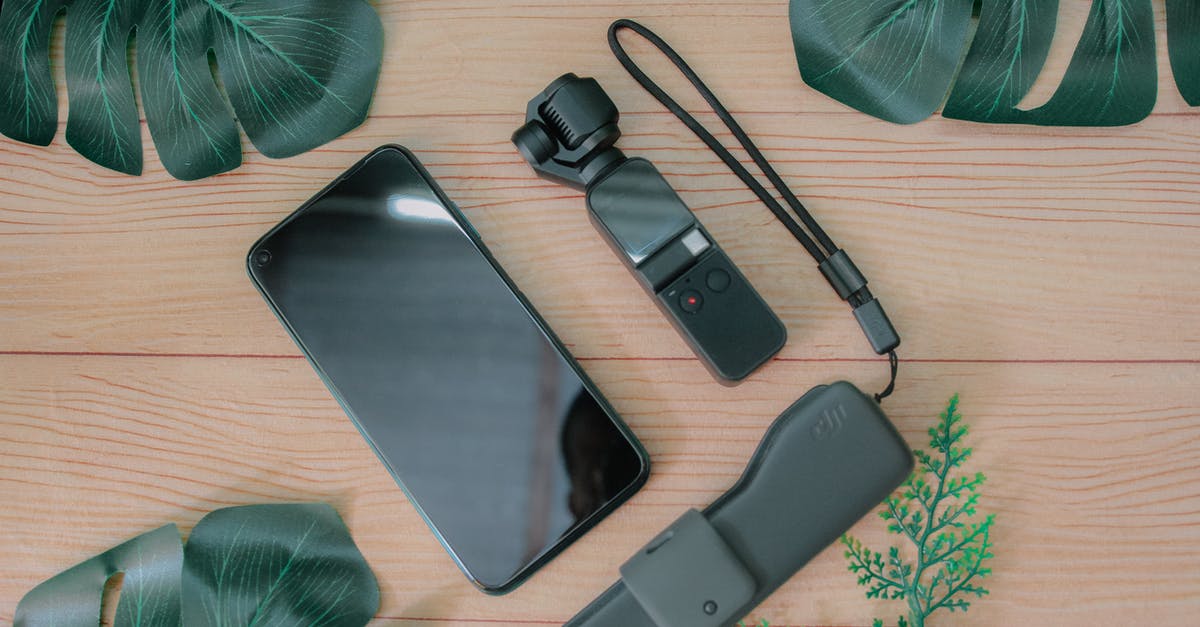 Copy a Steam game to a USB flash drive [duplicate] - Top view composition of mobile phone placed near USB flash drive and mini gimbal camera on wooden table with green foliage