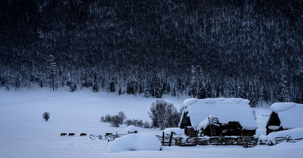 Darksiders 2 freezing - Snow Covered Field and Trees