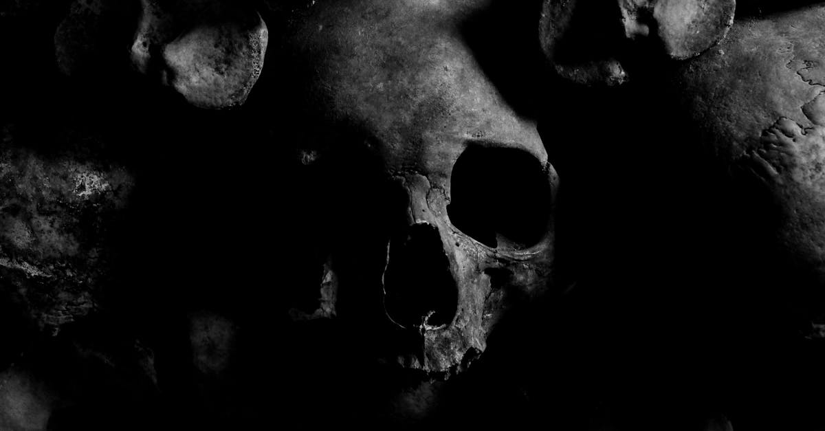 dead acount gamertag release? - Close-up Photo of Skull