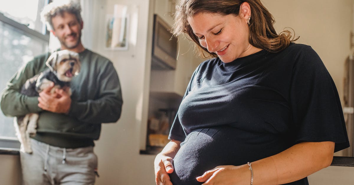 Deleting my lookalike's married mii in tomodachi life - Cheerful adult pregnant woman feeling child moving while touching belly and husband smiling while standing with dog near window in apartment