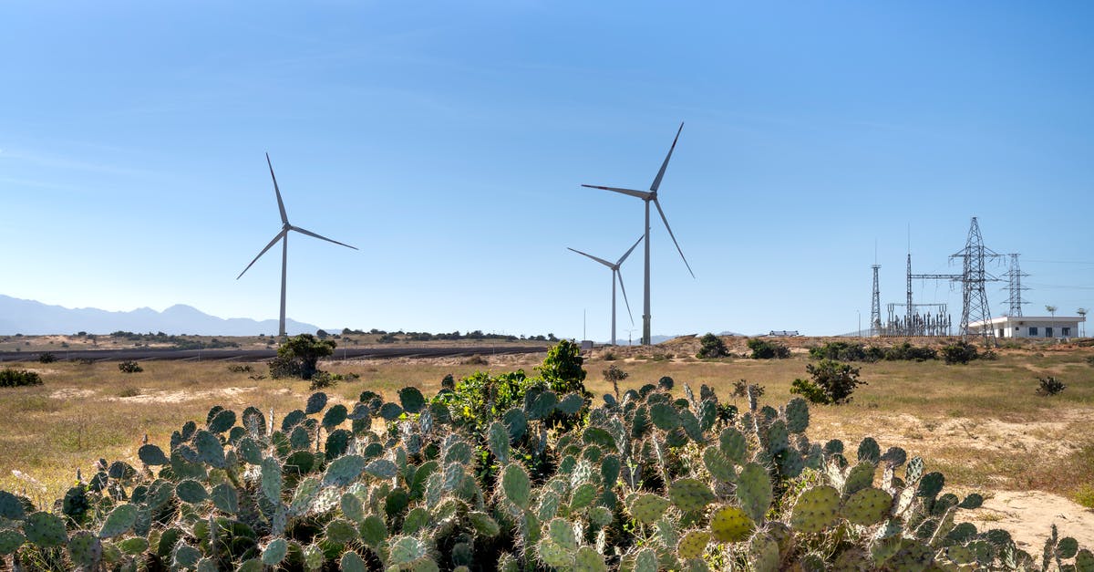 Difference between the PS4 and GoG version of Mount and Blade? - Wind mills on land against cacti in countryside