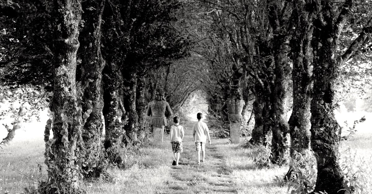 Differences between "stasis" and "stopped"? - Backview of Children walking in an Unpaved Path between Trees