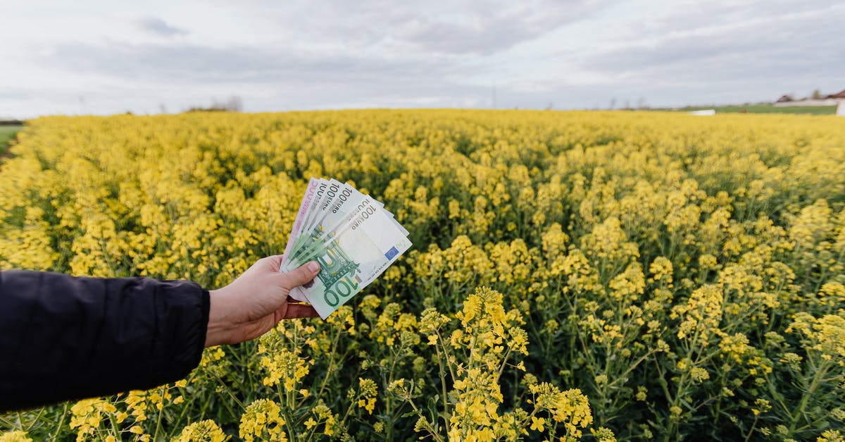 Do canals affect land value - Crop man with paper banknotes on blooming meadow