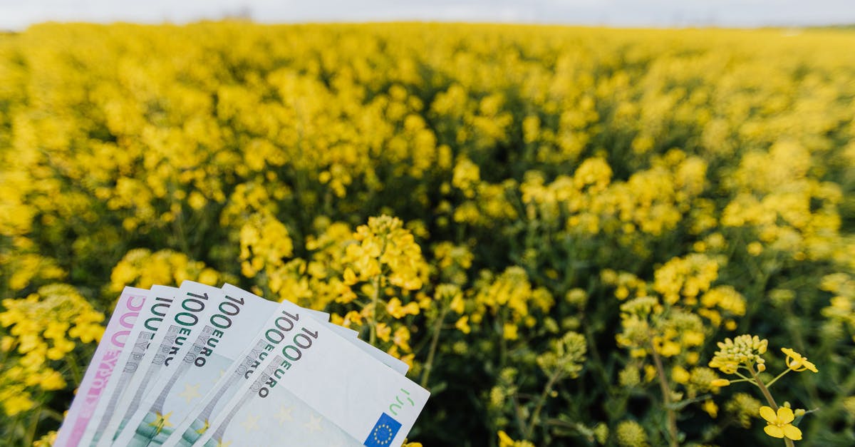 Do canals affect land value - Various Russian paper banknotes located on picturesque view of bright blossom field on cloudy day