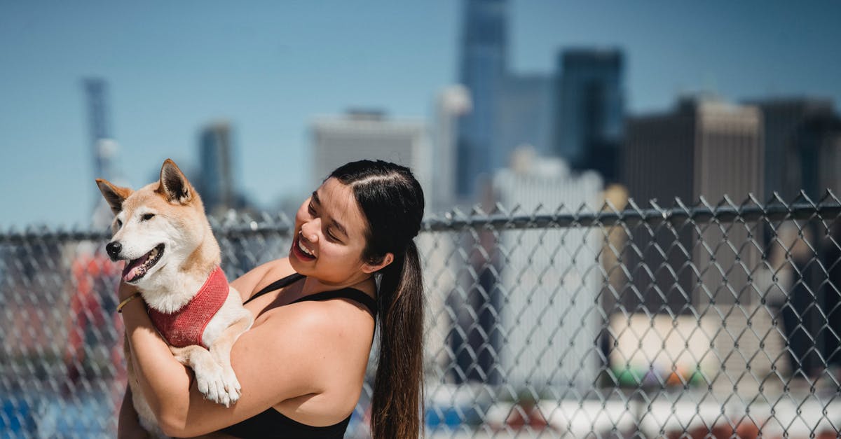 Do chain levels affect Monograph drops? - Side view of cheerful ethnic female hugging fluffy funny adorable dog near chain link fence on blurred background of skyscrapers