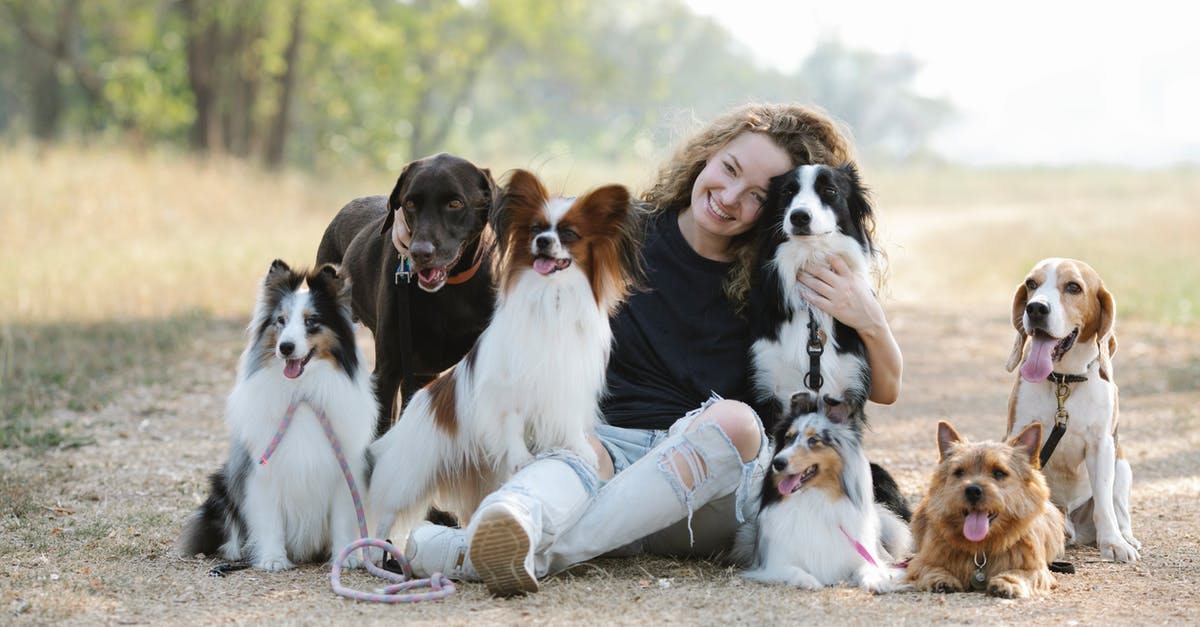 Do citizens want different kind of parks? - Gentle smiling woman embracing purebred dogs while sitting on ground