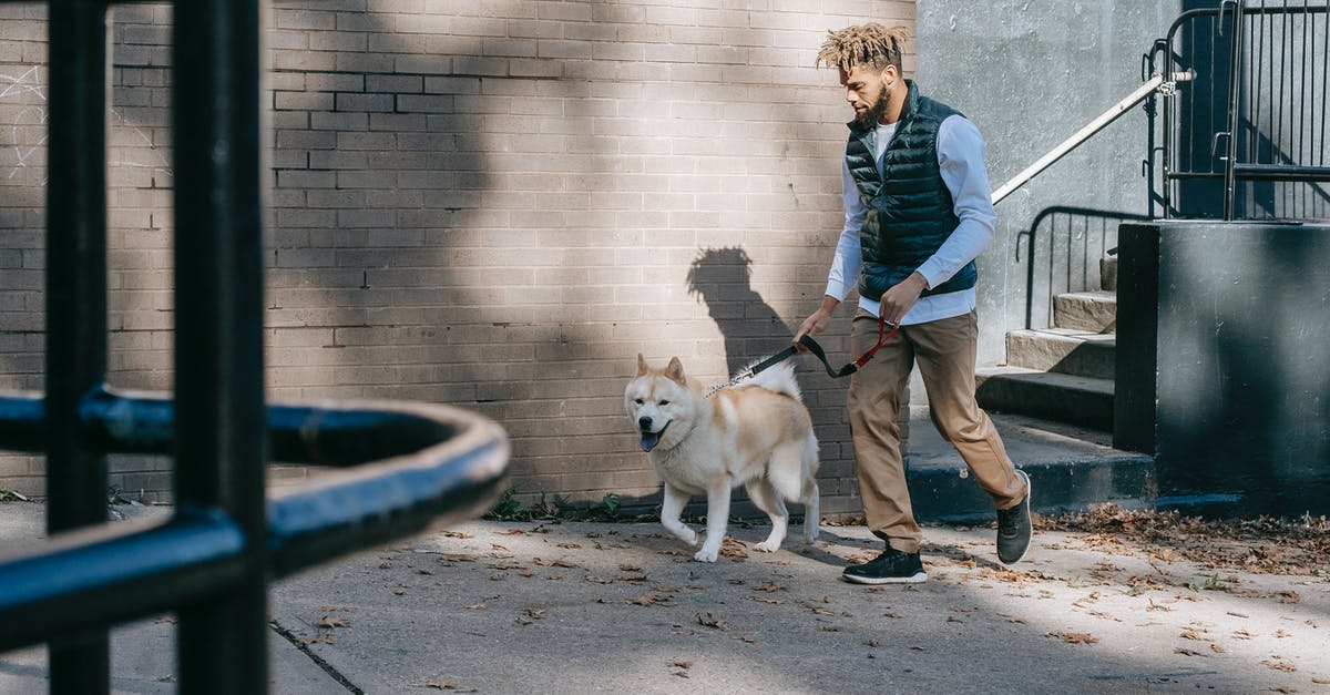 Do creatures spawn at rails? - Black man walking dog on street