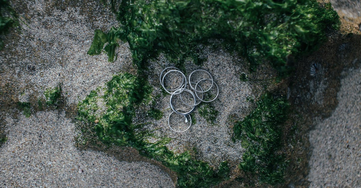 Do Giant rings EVER respawn? - Green Moss on Gray Concrete Wall