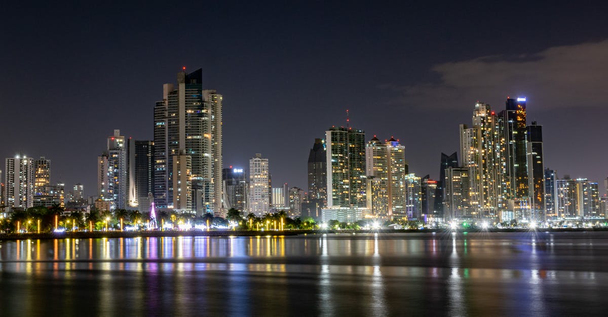 Do households get repopulated in Cities Skyline? - View of a City at Night