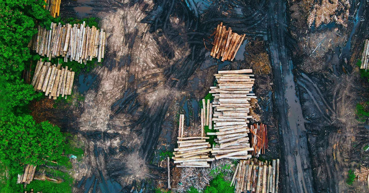 Do luxury booster from the same resource stack? - Aerial view of log trunks piles recently cut stored on dirty wet ground between rural road and green forest trees in daylight