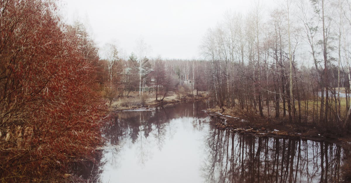 Do multiple land claim blocks still prevent zombie spawning? - River flowing near leafless trees in autumn