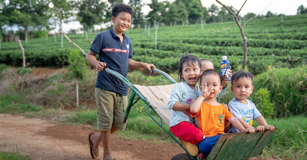 Do Olimar and Alph have the same hurtboxes? - Funny Asian toddlers having fun while brother riding metal wheelbarrow on rural road in green agricultural plantation