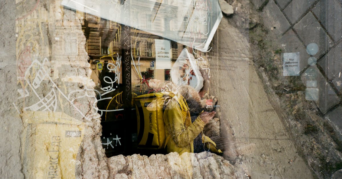 Do Tesla deal double damage to PEKKA? - Through glass of stray cat in front of food bowl on windowsill of old shabby abandoned building