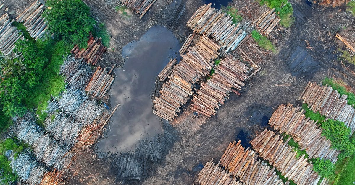 Do two Equestrian's Gloves stack - Bird's Eye View of Woodpile