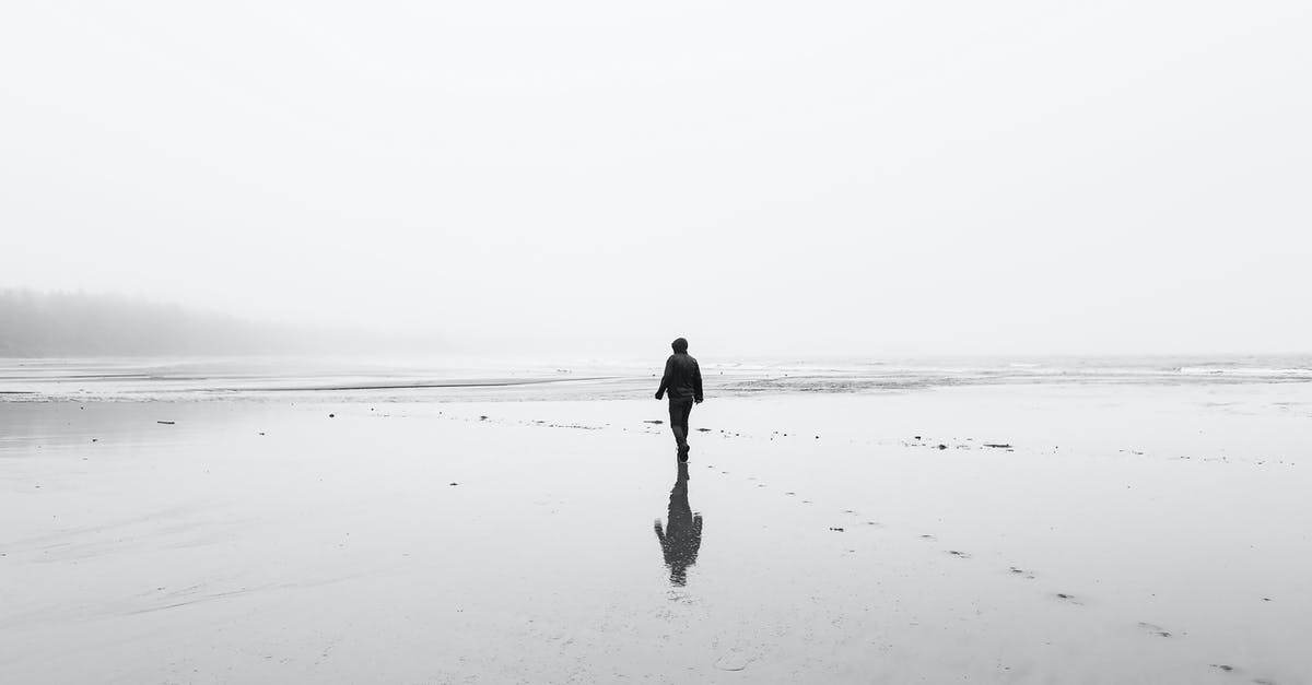 Do you fall faster alone in Apex Legends? - Monochrome back view of full body unrecognizable person in autumn clothes walking on lonely wet sandy coast in overcast day