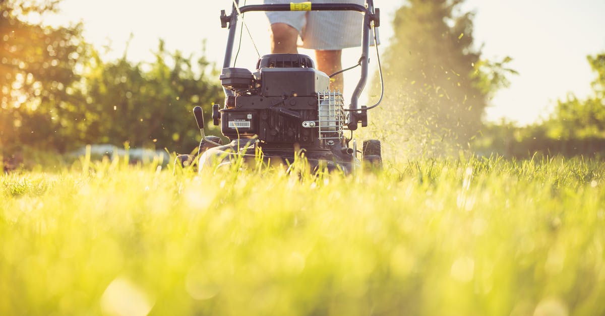 Does cutting off the legs count as a kill? - A Person Cutting Grass With a Lawn Mower 