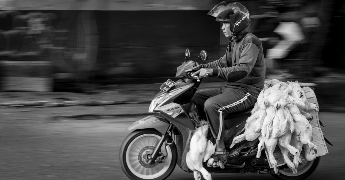 Does destroying a death totem disable the death protection? - Black and white side view of ethnic motorcyclist in protective helmet riding motorbike with heap of dead geese on asphalt city road