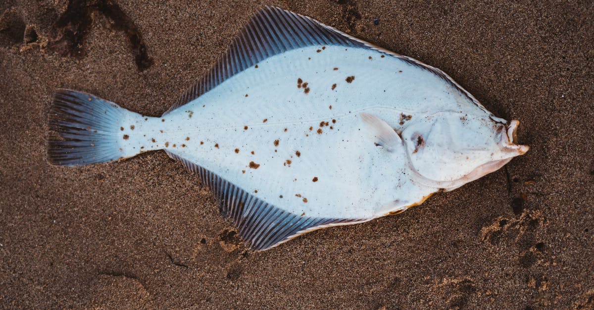 Does destroying a death totem disable the death protection? - Gray and White Fish on Gray Sand