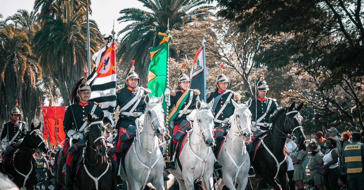 Does dual wielding looting swords stack? - Free stock photo of adult, army, carriage