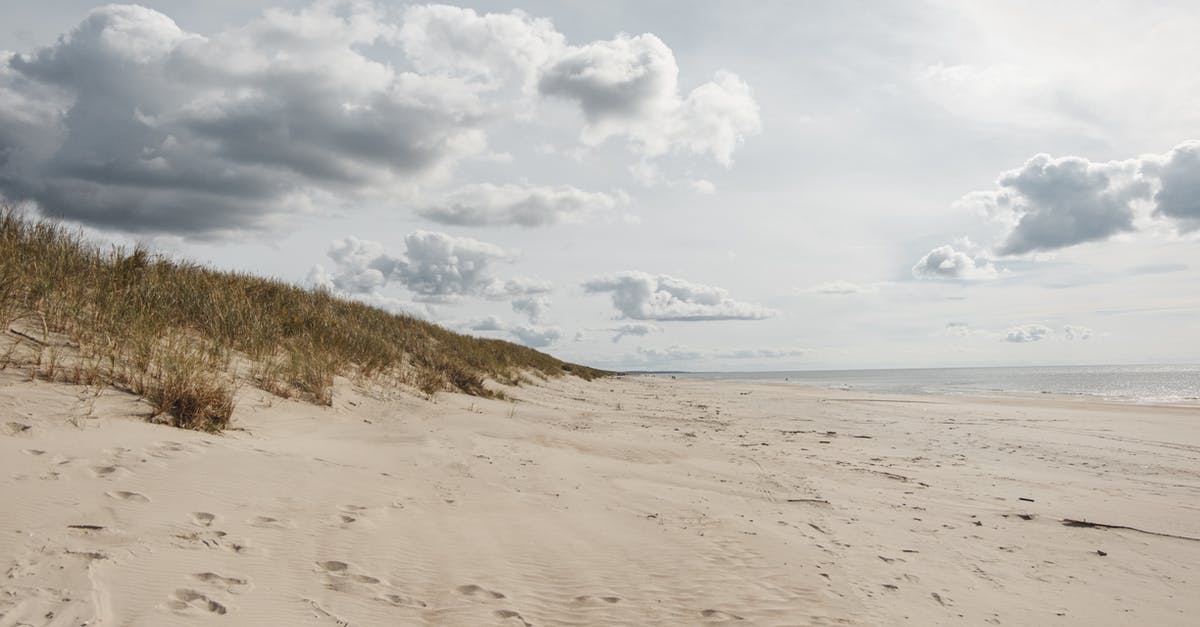 Does grass spread in the nether? - Sandy shore with grass against ocean under cloudy sky