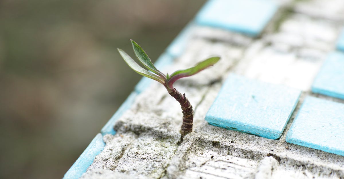 Does Half-Life: Blue Shift have the Half-Life folder? [closed] - Green Leafed Plant on Sand