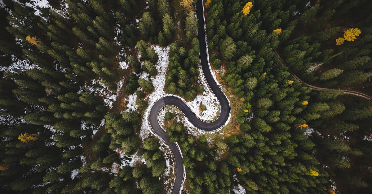 Does it matter which way Torbjörn's turret faces? - Bird's Eye View Of Roadway Surrounded By Trees